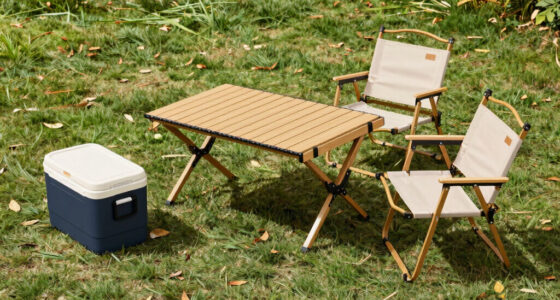8 Best Outdoor Tailgating Furniture in 2026