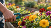 Cut Back These 5 Flowers In July To Keep Gorgeous Blooms Coming Through Summer And Into Fall