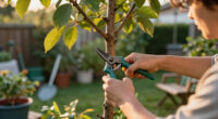 Is Your Neighbor's Tree Blocking the Sunlight in Your Yard? Here’s What You Can (and Can’t) Do About It, According to a Lawyer