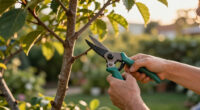 Is Your Neighbor's Tree Blocking The Sunlight In Your Yard? Here’s What You Can (And Can’t) Do About It, According To A Lawyer