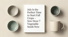 July Is the Perfect Time to Start Fall Crops – Sow These 7 Vegetable Seeds Now to Keep the Harvests Coming