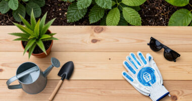 My Husband Is A Professional Gardener – And He Says I Need To Stop Being So Timid When Deadheading