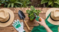 My Husband Is a Professional Gardener – And He Says I Need to Stop Being So Timid When Deadheading