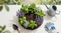 Think Companion Planting Doesn’t Stop Pests? It’s Because You’re Not Scent Clustering