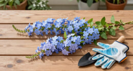 This Overlooked Hydrangea Cousin Is The Native Flowering Vine More Gardeners Should Be Growing