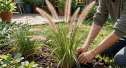 10 Best Easy-to-Grow Ornamental Grasses That Add A Professional Polish To Your Backyard