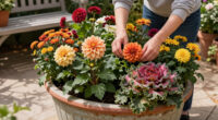 5 Fast-Growing Fall Flowers For Containers That Dazzle From The End Of Summer Until The First Frost