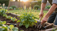 5 Overgrown Perennials To Divide In August For Free Plants Next Year And A Tidy Garden This Fall