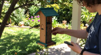 Can Your Bird Feeder Really Tell You If A Storm Is Coming? Here's The Truth