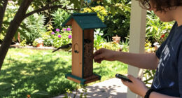Can Your Bird Feeder Really Tell You If A Storm Is Coming? Here's The Truth