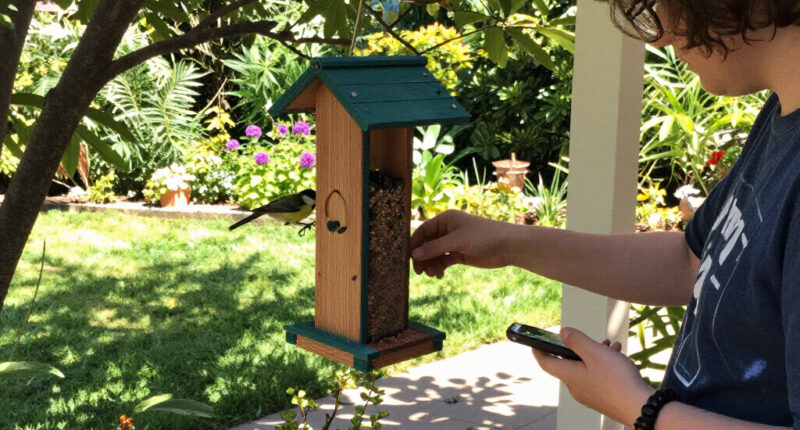 Can Your Bird Feeder Really Tell You If A Storm Is Coming? Here's The Truth