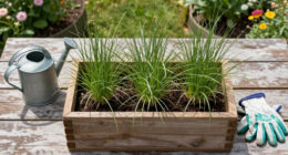 This Striking Prairie Native Is Quietly Replacing Mediterranean Plants – It's Hardier And Wildlife-Friendly