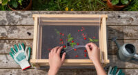 4 Foolproof Ways Protect Your Berries From Animals So You Can Actually Enjoy Your Harvest