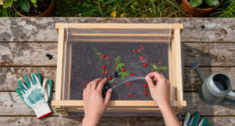 4 Foolproof Ways Protect Your Berries From Animals So You Can Actually Enjoy Your Harvest