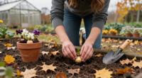 6 Surefire Flowers To Plant In October For Stronger Growth And A Garden Brimming With Blooms Next Summer