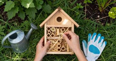 DIY A Bug Hotel To Give Beneficial Garden Insects A Home Before Temperatures Drop