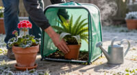 I Have Nowhere To Store My Tender Plants Over Winter – This Clever Pop-Up Shelter Protects Them Without Taking Up Space