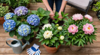 Must-Have Plants That Will Be Twice The Price Come Spring – Add Them To Your Yard Now And Save Yourself A Fortune