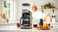 Ninja Hot & Iced XL Coffee Maker: Perfect Summer Coffee Companion