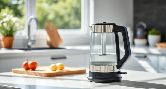 Ninja KT200BL Precision Temperature Kettle: Perfect for Summer Tea & Coffee