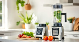 Summer Care & Troubleshooting for Ninja Professional Blender