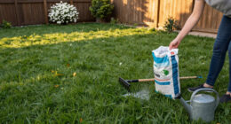 The One Thing We All Get Wrong About Fertilizing Our Lawns In Fall, According To My Professional Gardener Husband
