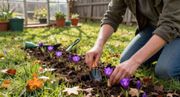 Want A Lawn Full Of Crocuses Next Spring? Pros Share Their Fall Planting Tips (And Mistakes To Avoid) For A Dreamy Carpet Of Color