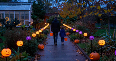 15 Best Halloween Outdoor Pathway Lights for Spooky Curb Appeal in 2027