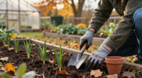20 Great Gardening Tips For Your October Garden