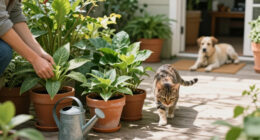 6 Pet-friendly Houseplants – They're Beautiful *And* Safe For Cats And Dogs