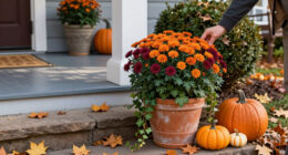 9 Best Halloween Outdoor Planters in 2027