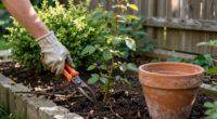 I’ve Used These Fiskars Pruners For 5 Years – They’re The Only Pair I Trust With My Precious Hydrangeas