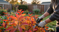 Instead Of Burning Bush, Grow This Native Shrub – It Has Gorgeous Fall Color And Supports Wildlife