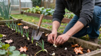 Monty Don Proves It's Not Too Late To Grow Your Own In October