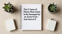 The 5 Types Of Plants Most Likely To Be Damaged By An Early Frost – And How To Protect Them