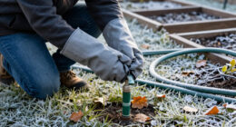 The One Winterizing Job You Should Do After The First Frost – Not Before