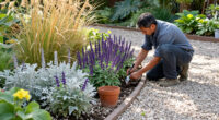 Think Gravel Gardens Are Boring? 5 Plants That Add Colour, Texture And Interest With Minimal Upkeep